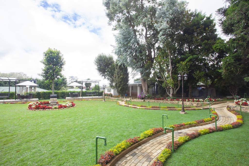 La Grande Villa Нувара-Елія Екстер'єр фото